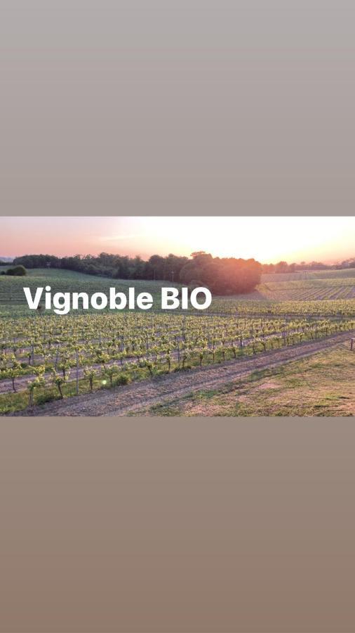 Gite Les Vignes Cravenceres Luaran gambar